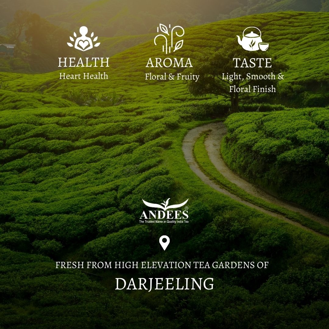 Darjeeling&Assam 各125g/44oz The Difference between Darjeeling and Assam Teas – Camden Tea Shop