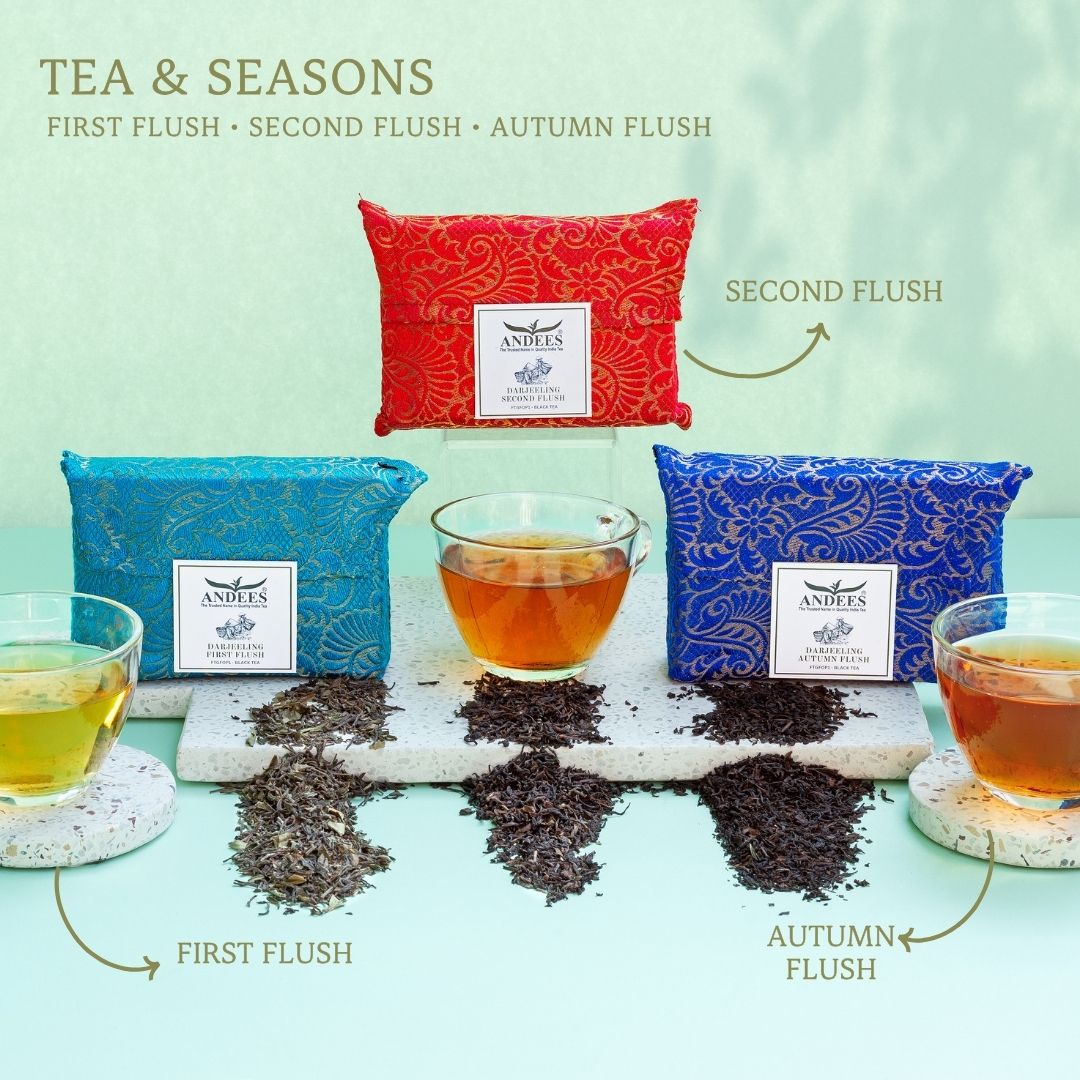 茶 darjeeling first flush TEA Darjeeling First Flush (FTGFOP1) – Andees